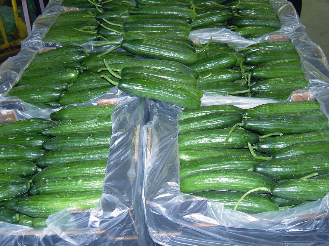 αγγουράκια