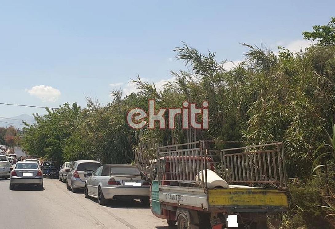 Ζούγκλα από καλάμια και ξερά χόρτα