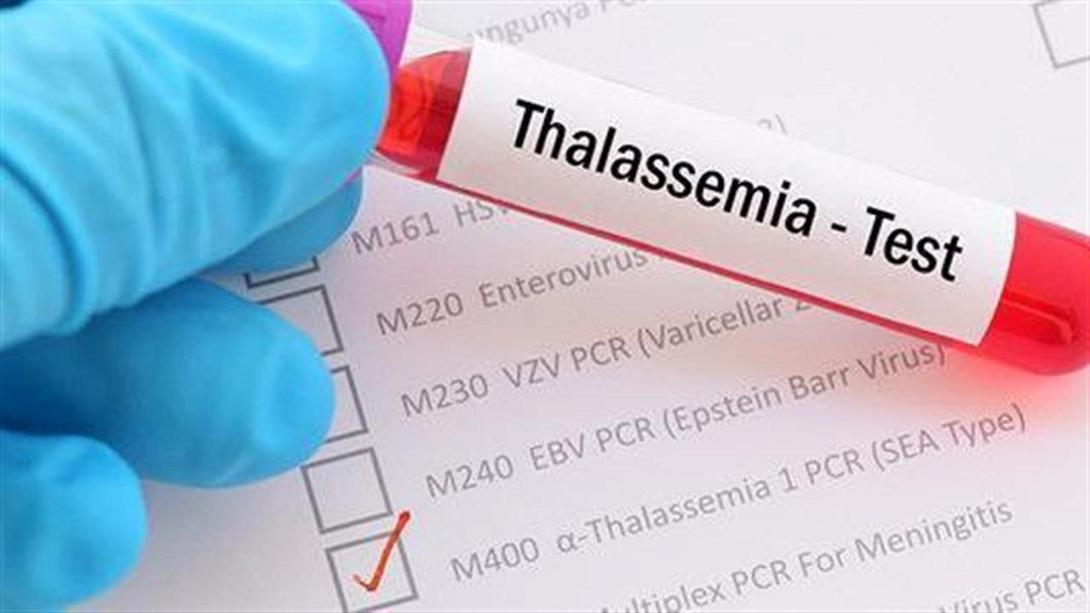 ΗΜΕΡΑ ΘΑΛΑΣΣΑΙΜΙΑΣ