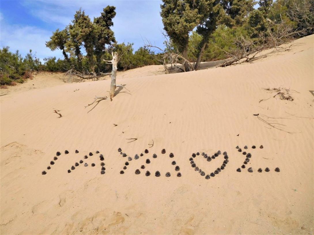 Γιορτή αθλητισμού με την στήριξη της Περιφέρειας Κρήτης 