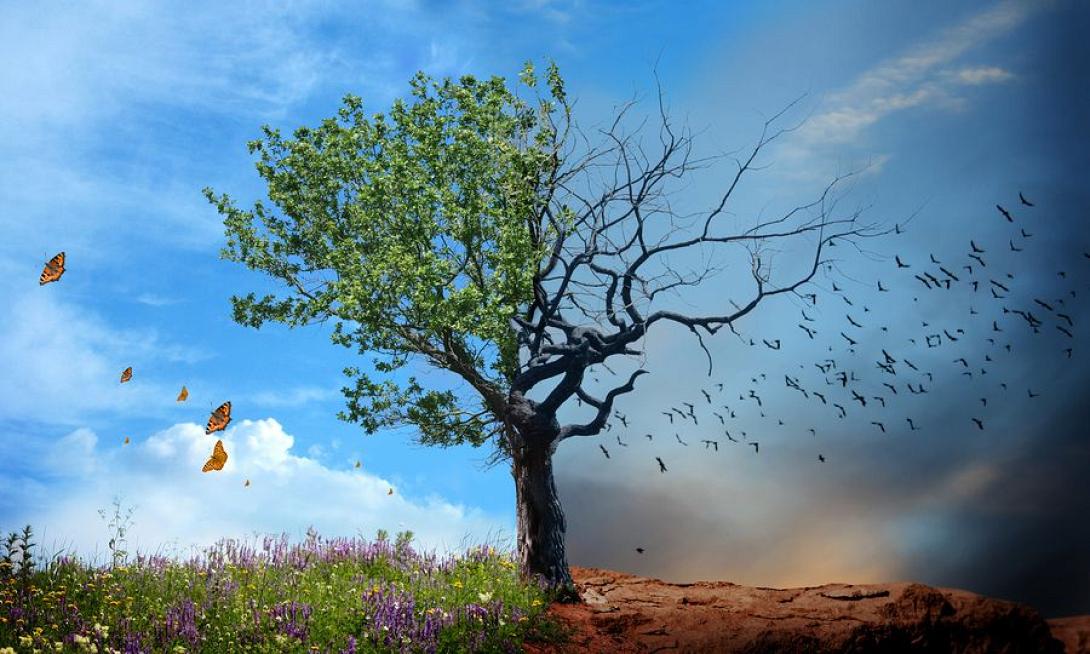 Προτεραιότητα η προσαρμογή στην Κλιματική Αλλαγή 