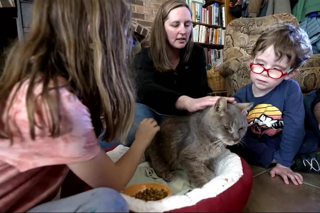 Γάτα χάθηκε πριν 16 χρόνια και την βρήκαν λίγο πριν την ευθανασία 