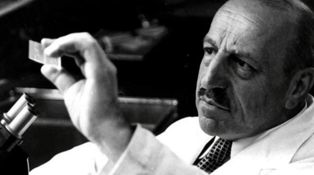 παπανικολάου 