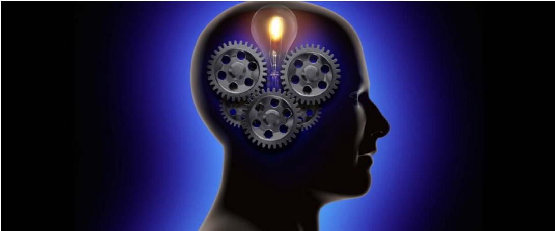 νευροανατομια