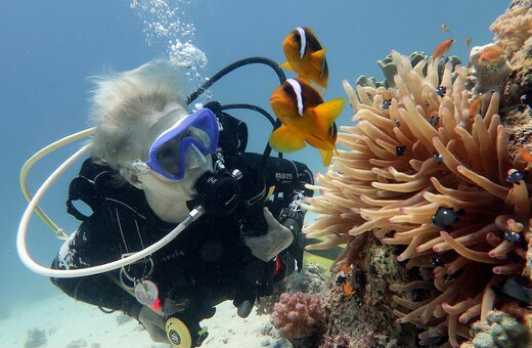 Εντοπίστηκε για πρώτη φορά λεύκανση σε θαλάσσια σφουγγάρια 