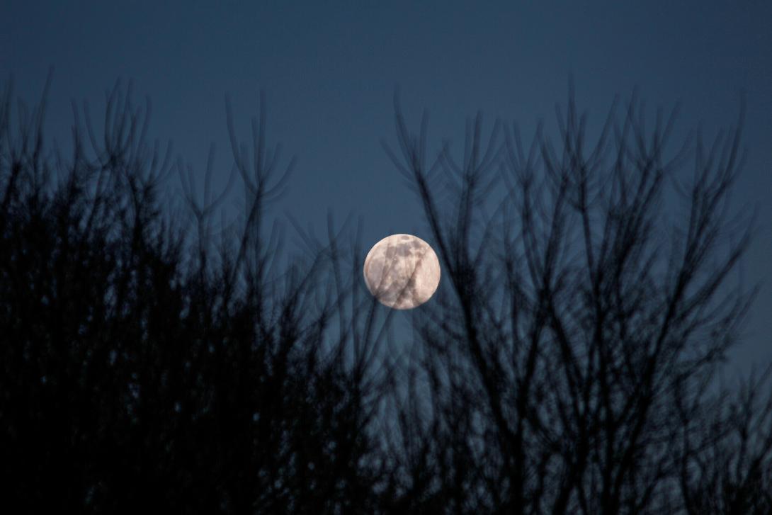 πανσέληνος