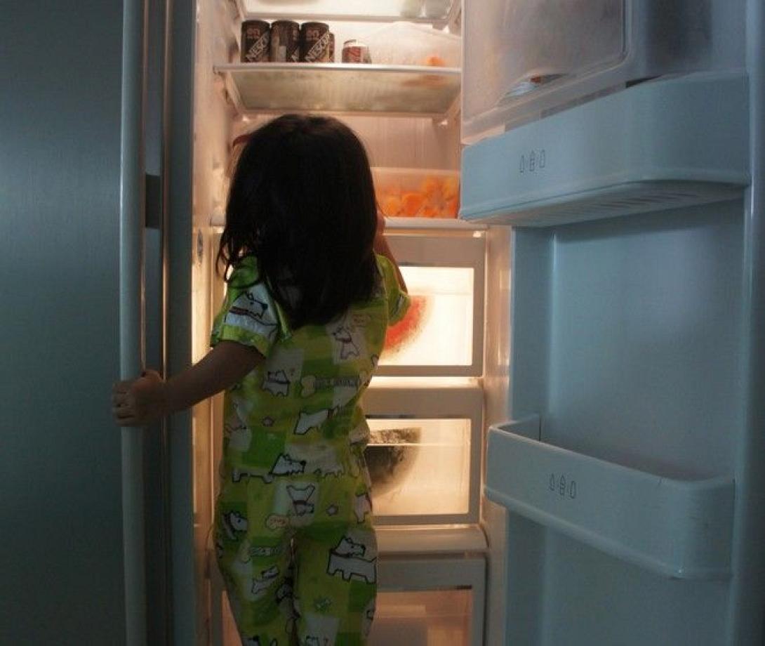 παιδί ψυγείο