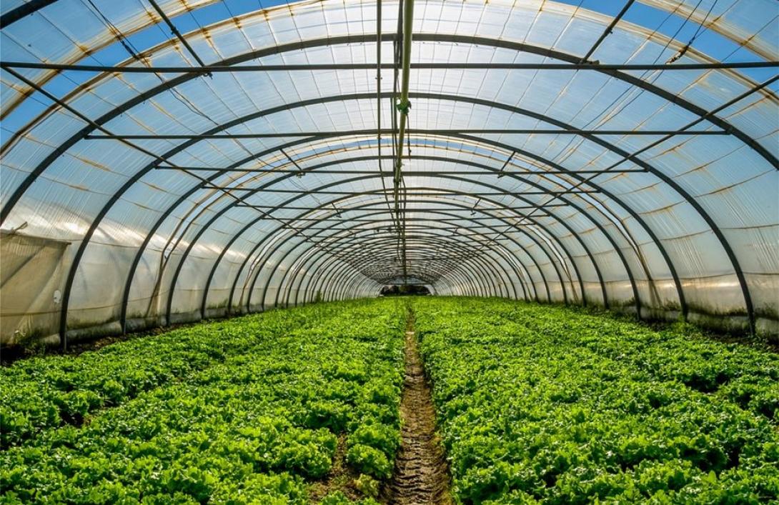 ΘΕΡΜΟΚΗΠΙΟ