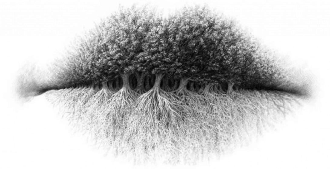 Το απόλυτο τεστ προσωπικότητας - Τι βλέπετε στη φωτογραφία 