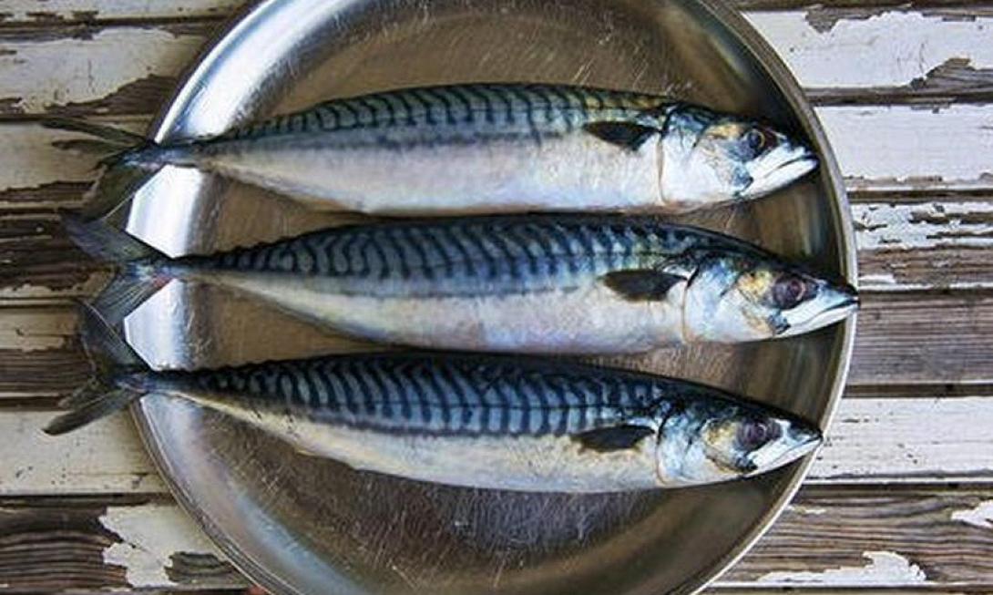 Πως συνδέεται η κατανάλωση ψαριών και γαλακτομικών με τον καρκίνο 