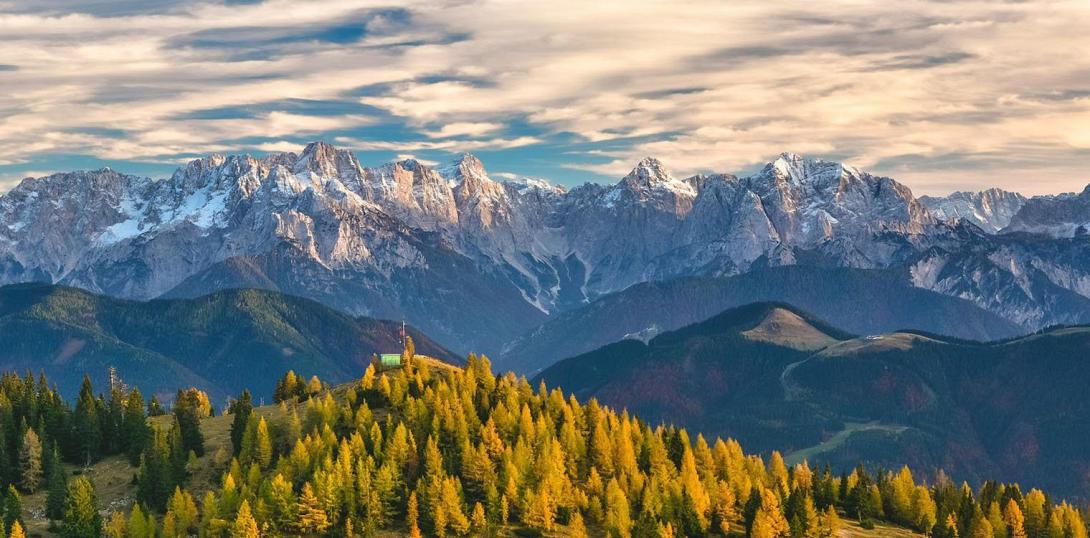 Οι λευκές άλπεις πρασινίζουν λόγω της κλιματικής αλλαγής