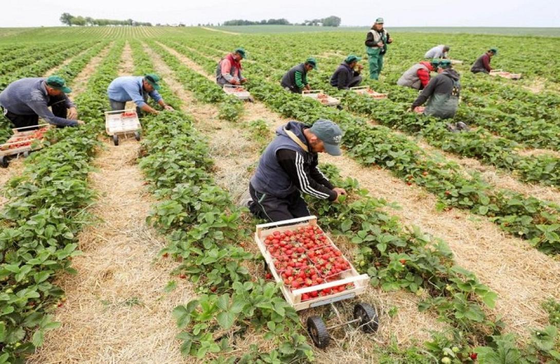 εργάτες γης