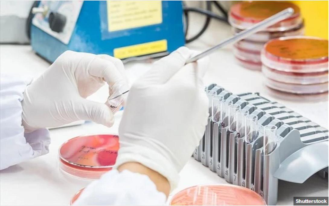 εργαστηριο