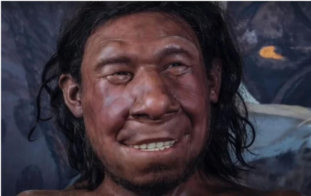 ΝΕΑΤΕΡΝΤΑΛ