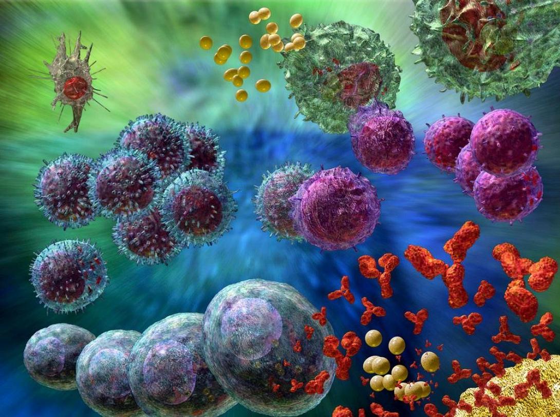 Κύτταρα φονικοί φορείς σκοτώνουν τους όγκους μπαίνοντας μέσα τους 