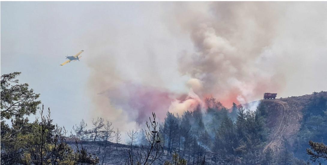 μαρμαρίδα φωτιά