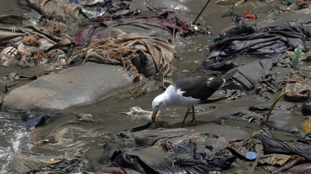 Οι άνθρωποι ευθύνονται για πάνω από το 90% των πετρελαιοκηλίδων στις θάλασσες 
