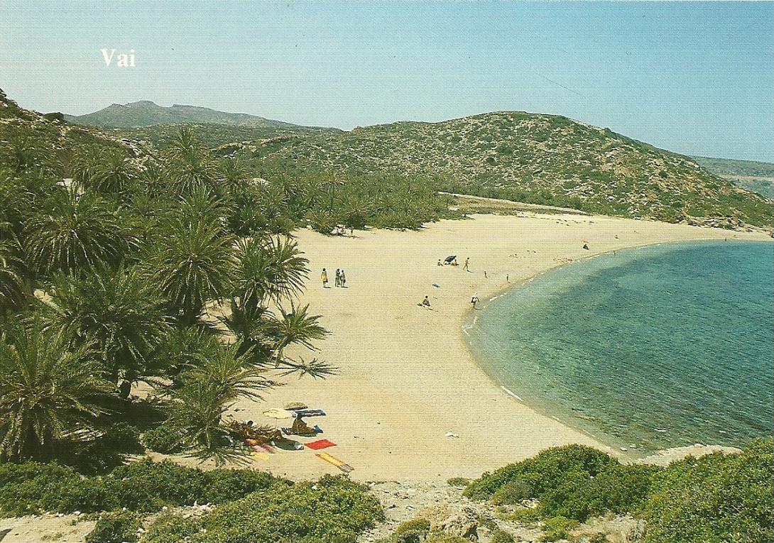 φοινικοδασος βαι