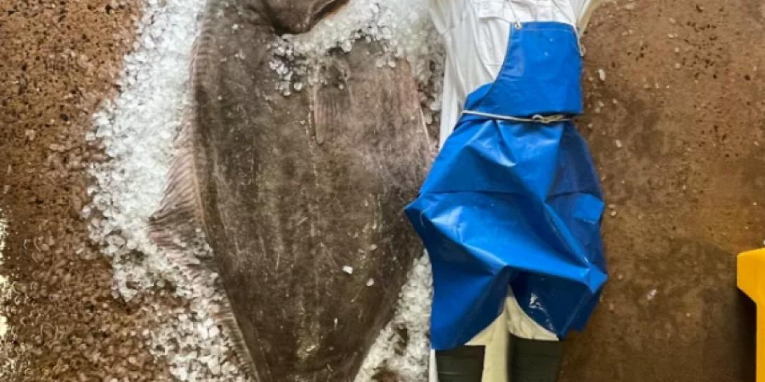 ψάρι - μαμούθ