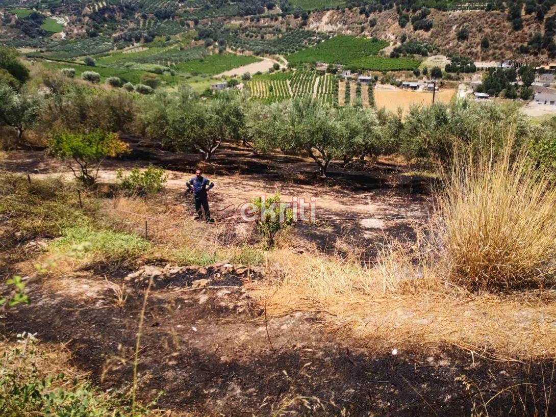 φωτιά σταυράκια