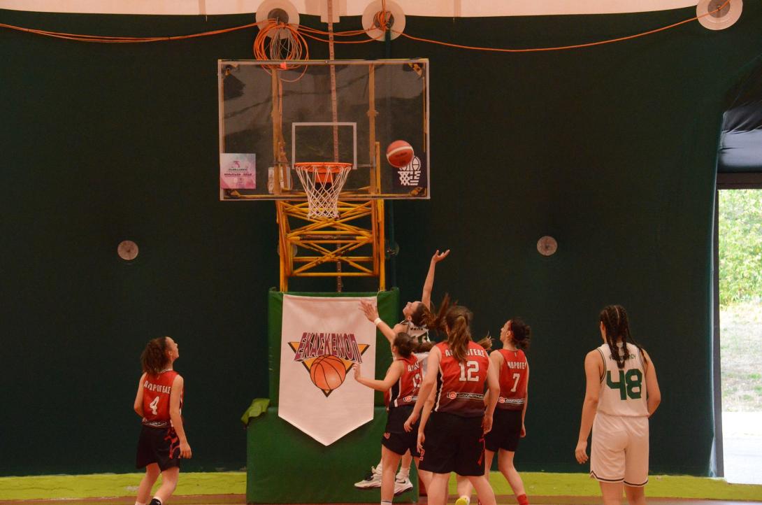 ΑΝΔΡΟΓΕΑΣ ΚΟΡΑΣΙΔΕΣ