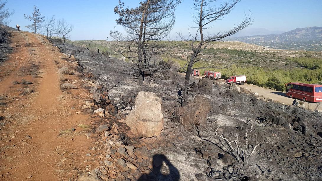 Μεγάλη μάχη των πυροσβεστών στην Κέρη για να ελέγξουν τη φωτιά