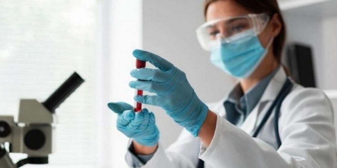 ΕΥΛΟΓΙΑ ΠΙΘΗΚΩΝ