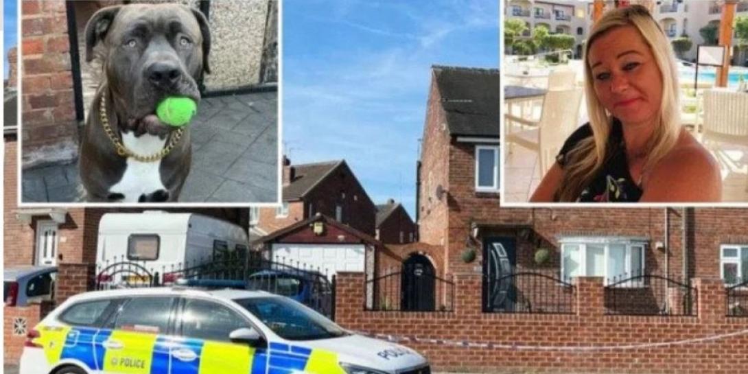 σκυλος κατασπαραξε γυναικα