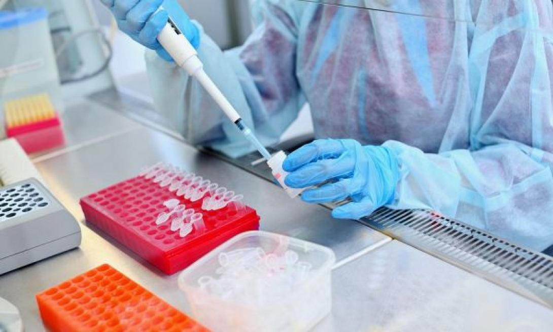 βλαστοκύταρα