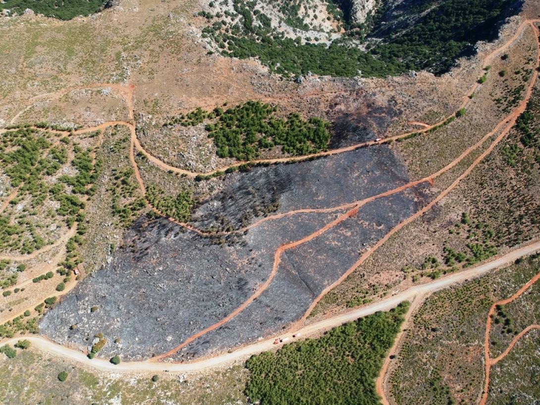 Η καμένη έκταση στο δάσος της Κέρης ...από ψηλά