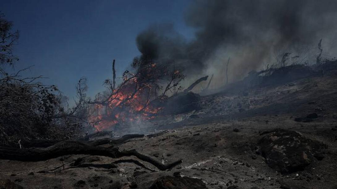 φωτια ρεθυμνο