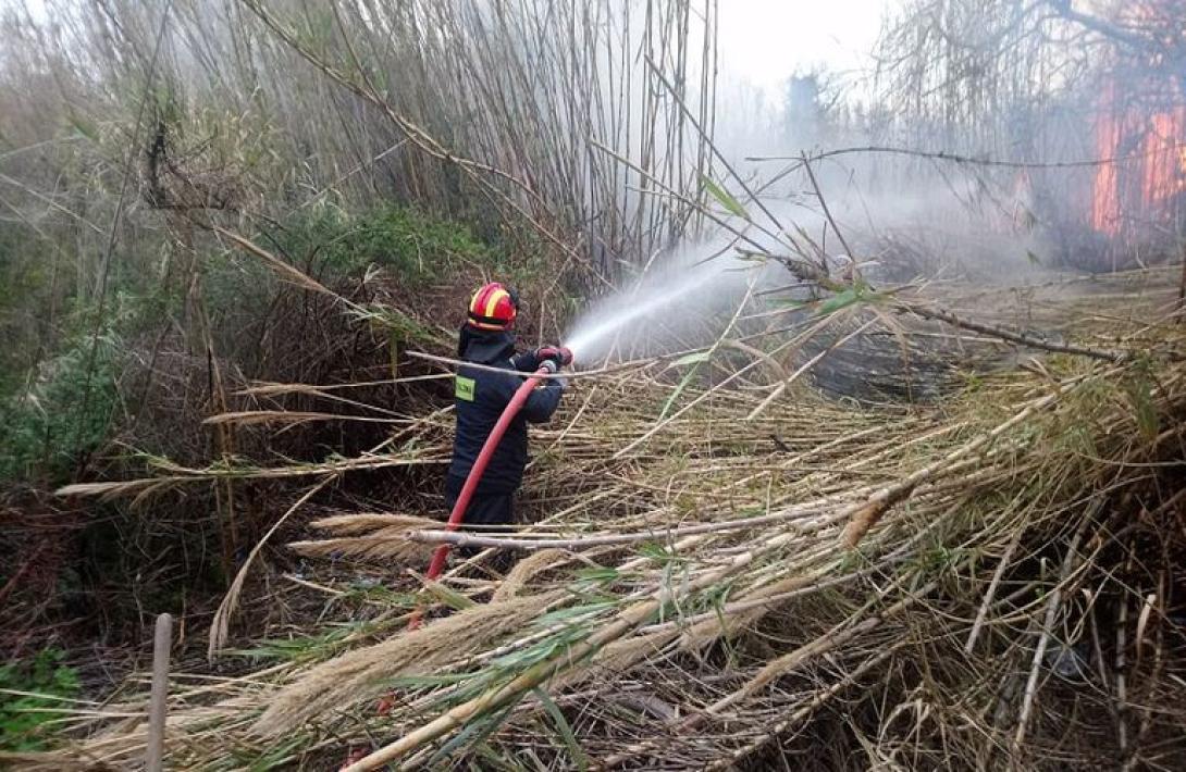 Φωτιά - Πυροσβεστική 