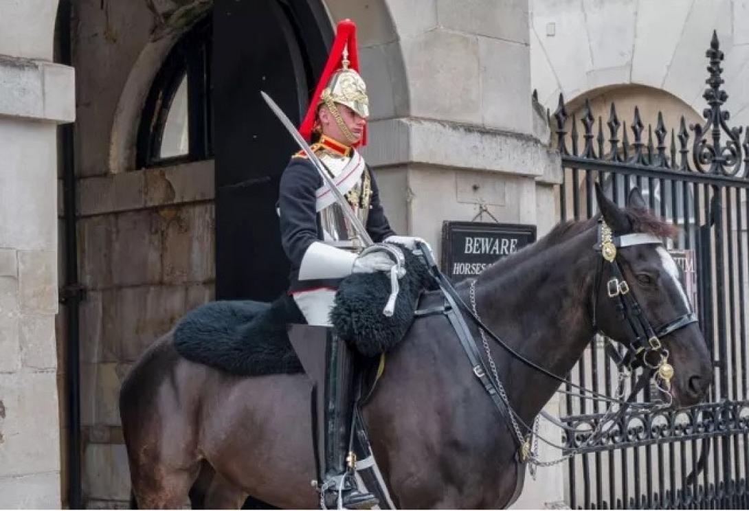 Φρουρός Βασίλισσας