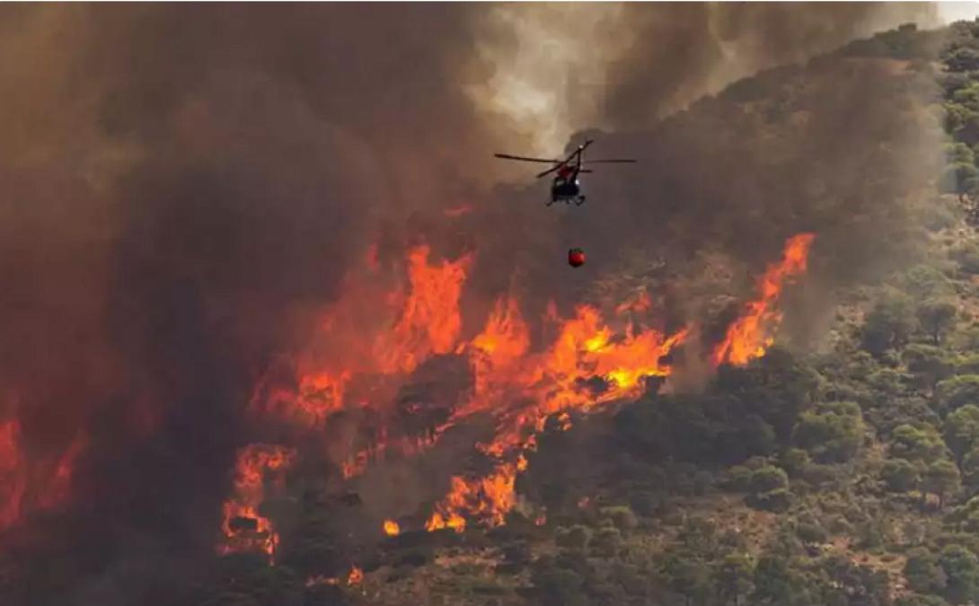 φωτια εβρος