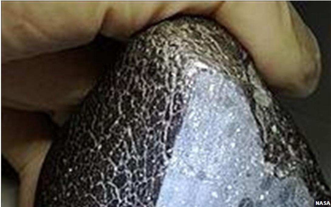 Μαύρη Καλλονή