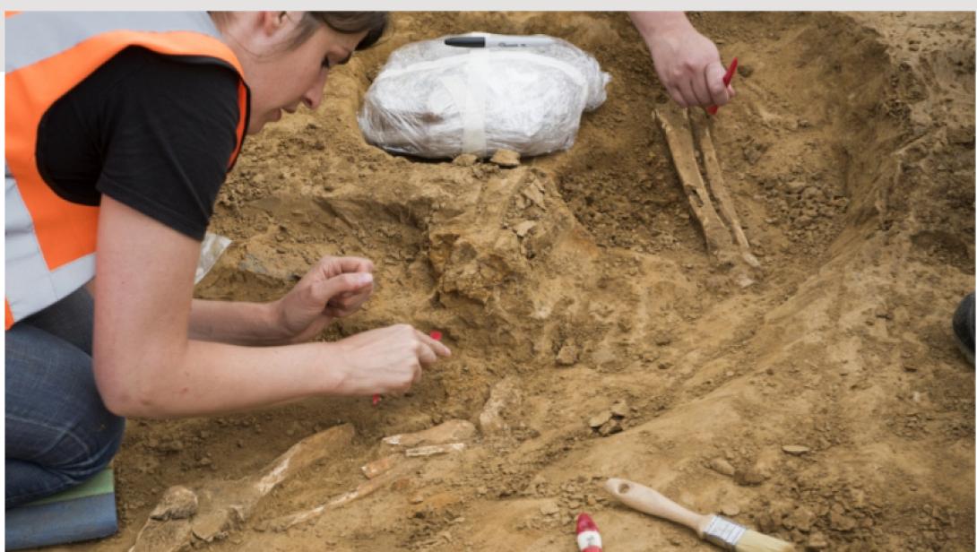 μαχη βατερλω