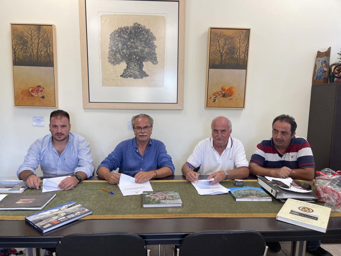 δημος πλατανια