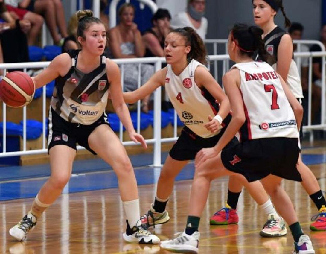 ΑΝΔΡΟΓΕΑΣ ΚΟΡΑΣΙΔΕΣ