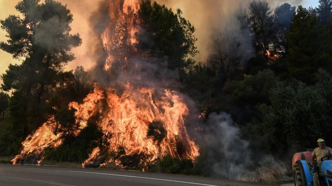φωτια κρεστενα