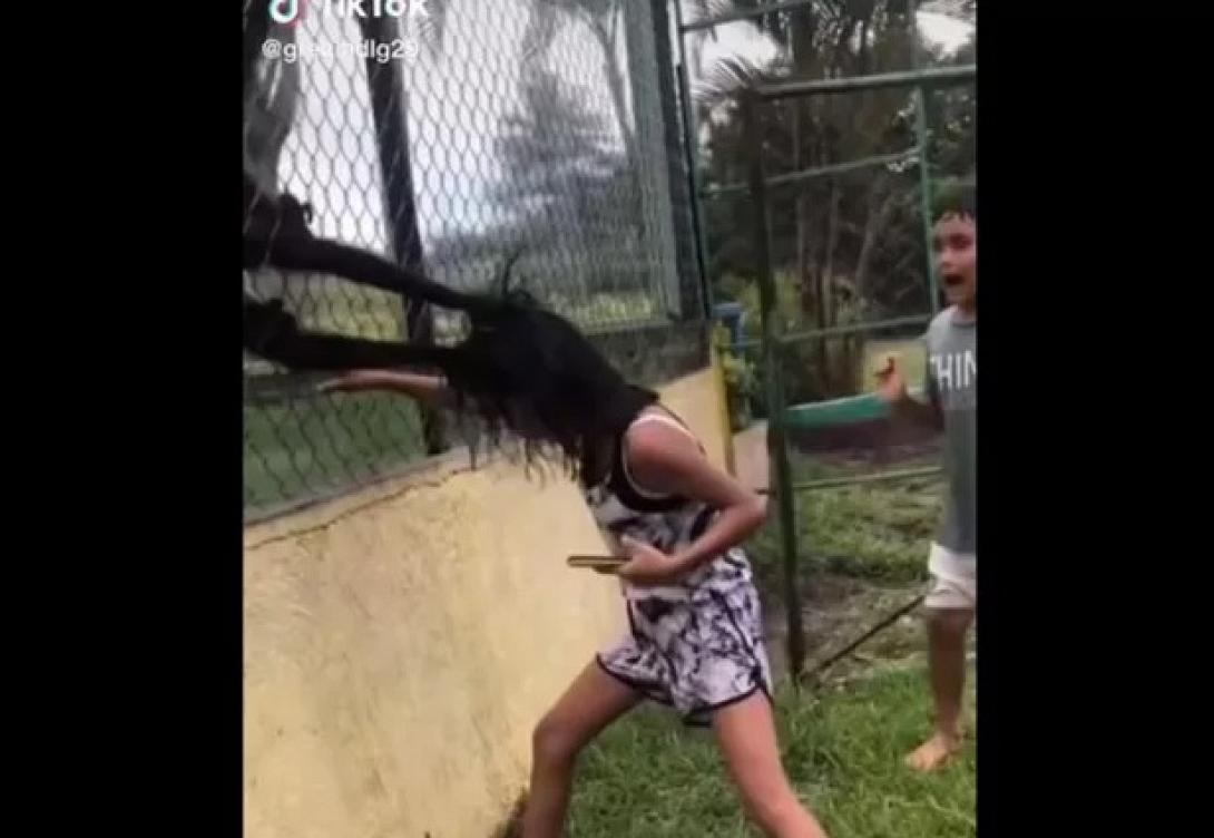 Μεξικό - Μαϊμού