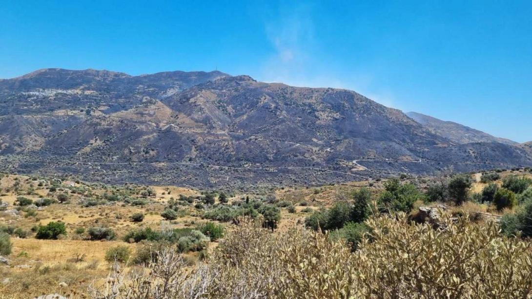 Φωτιά Ρέθυμνο