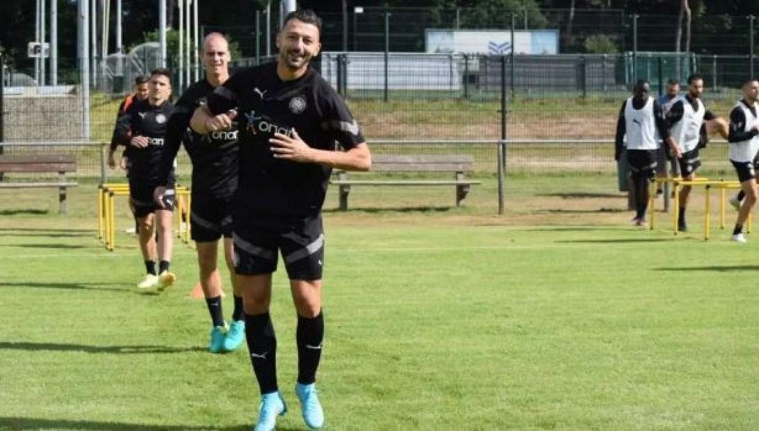 ΟΦΗ ΟΛΛΑΝΔΙΑ