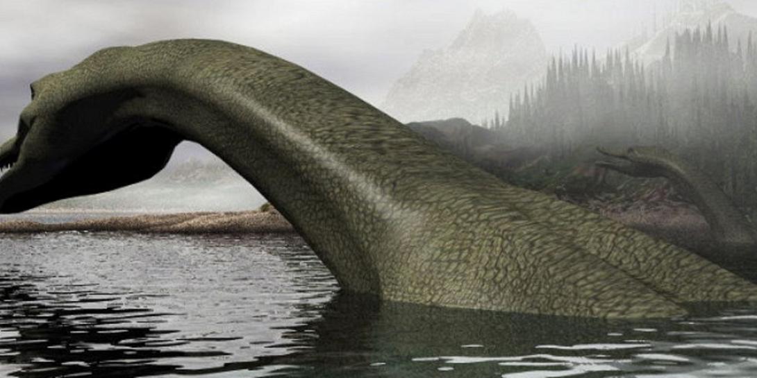 ΤΕΡΑΣ ΤΟΥ ΛΟΧΝΕΣ