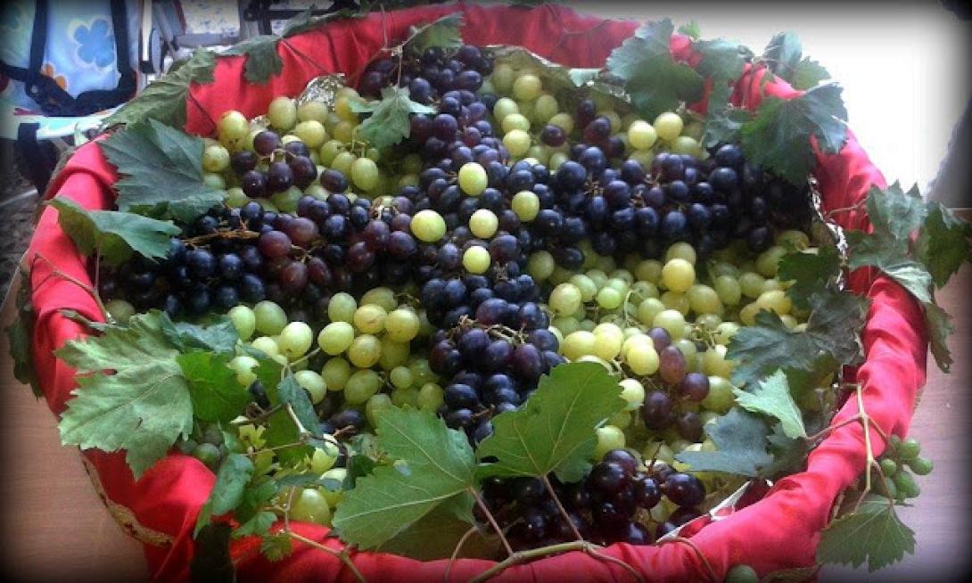 σταφύλια - μεταμόρφωση σωτηρος