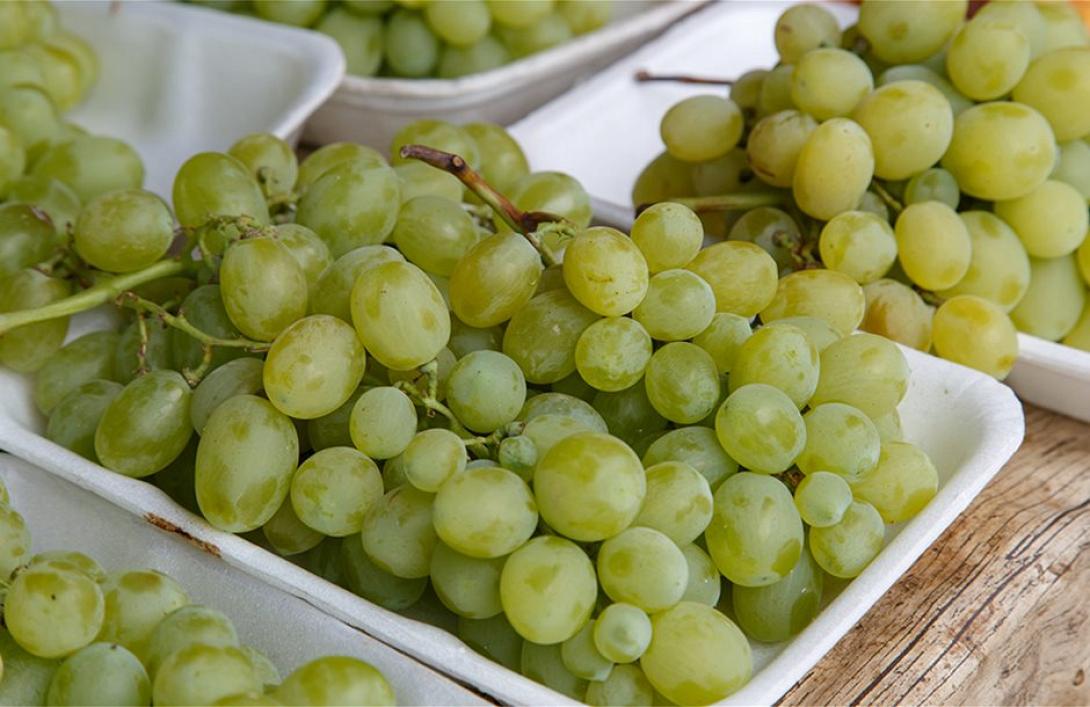 επιτραπέζια σταφύλια