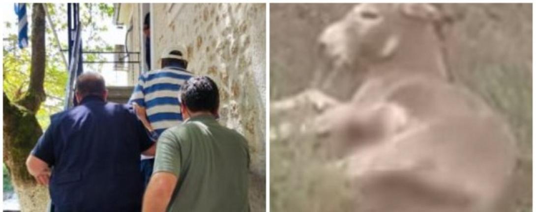 αντιδημαρχος