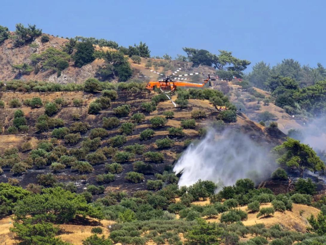 Φωτιά στη Βιάννο