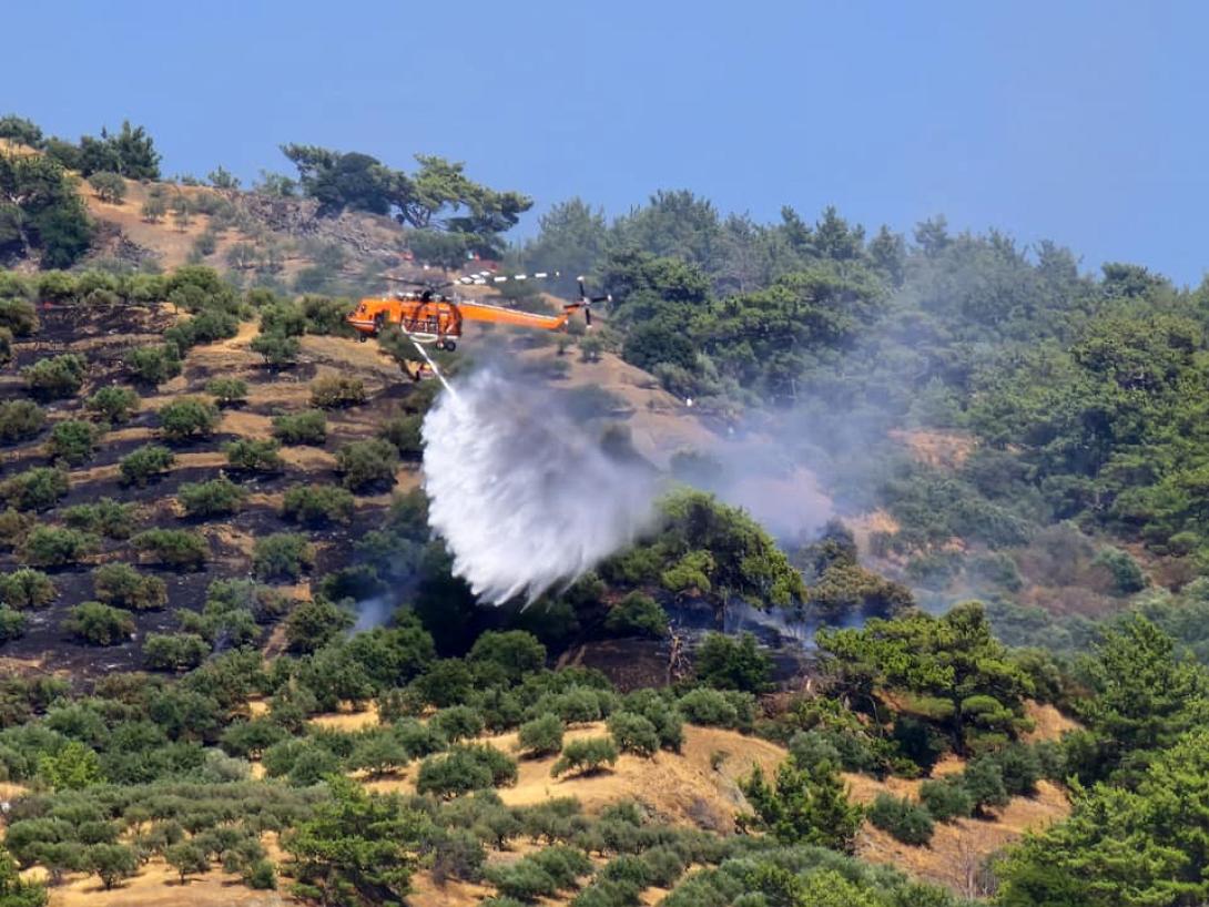 Φωτιά στη Βιάννο