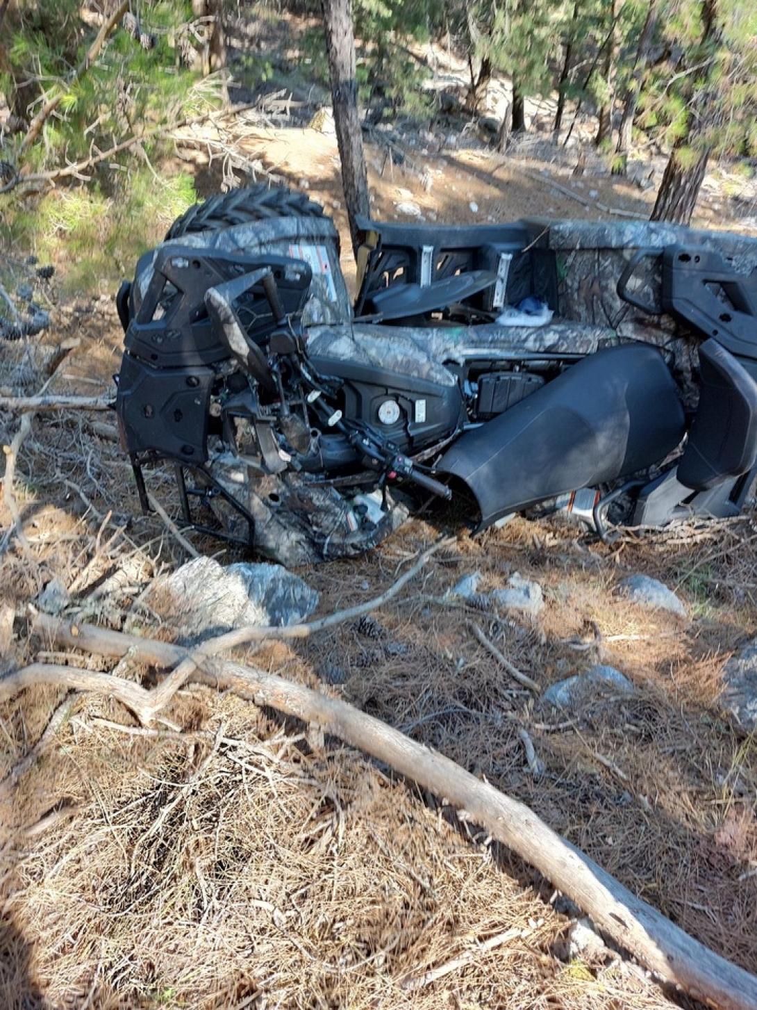 γουρούνα ρόδος