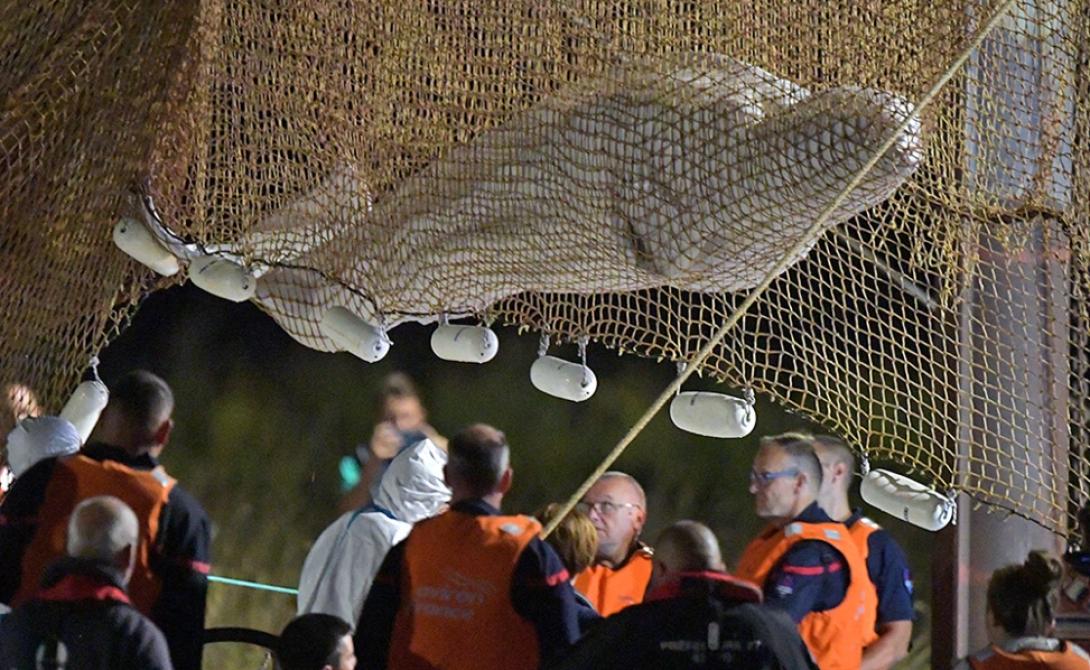 φάλαινα σηκουάνας